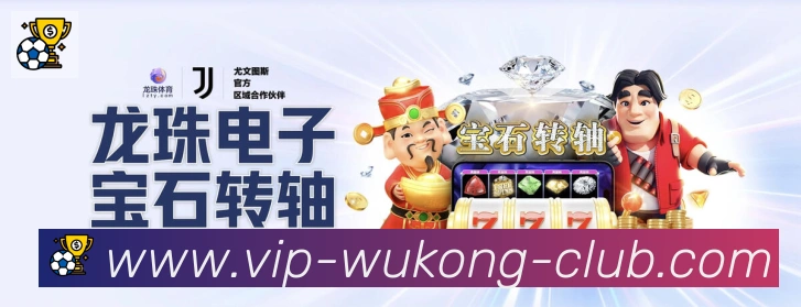 未来规划